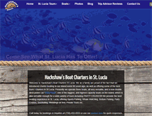 Tablet Screenshot of hackshaws.com